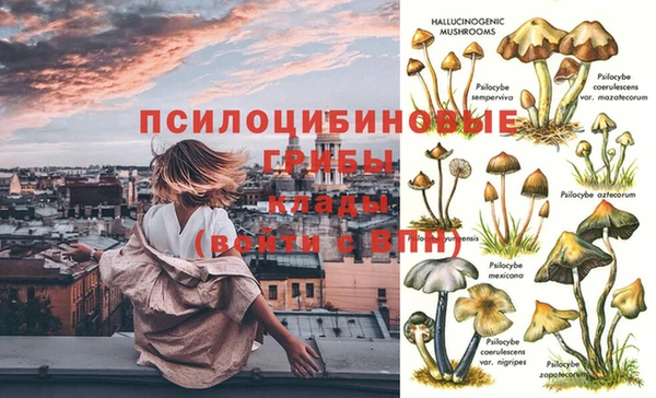 марки lsd Елабуга