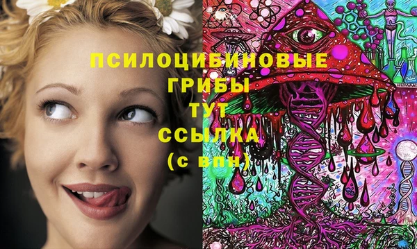 метадон Елизово
